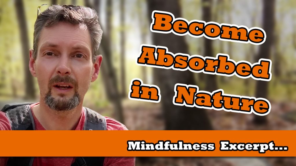 Become absorbed in Nature - Become One - Excerpt