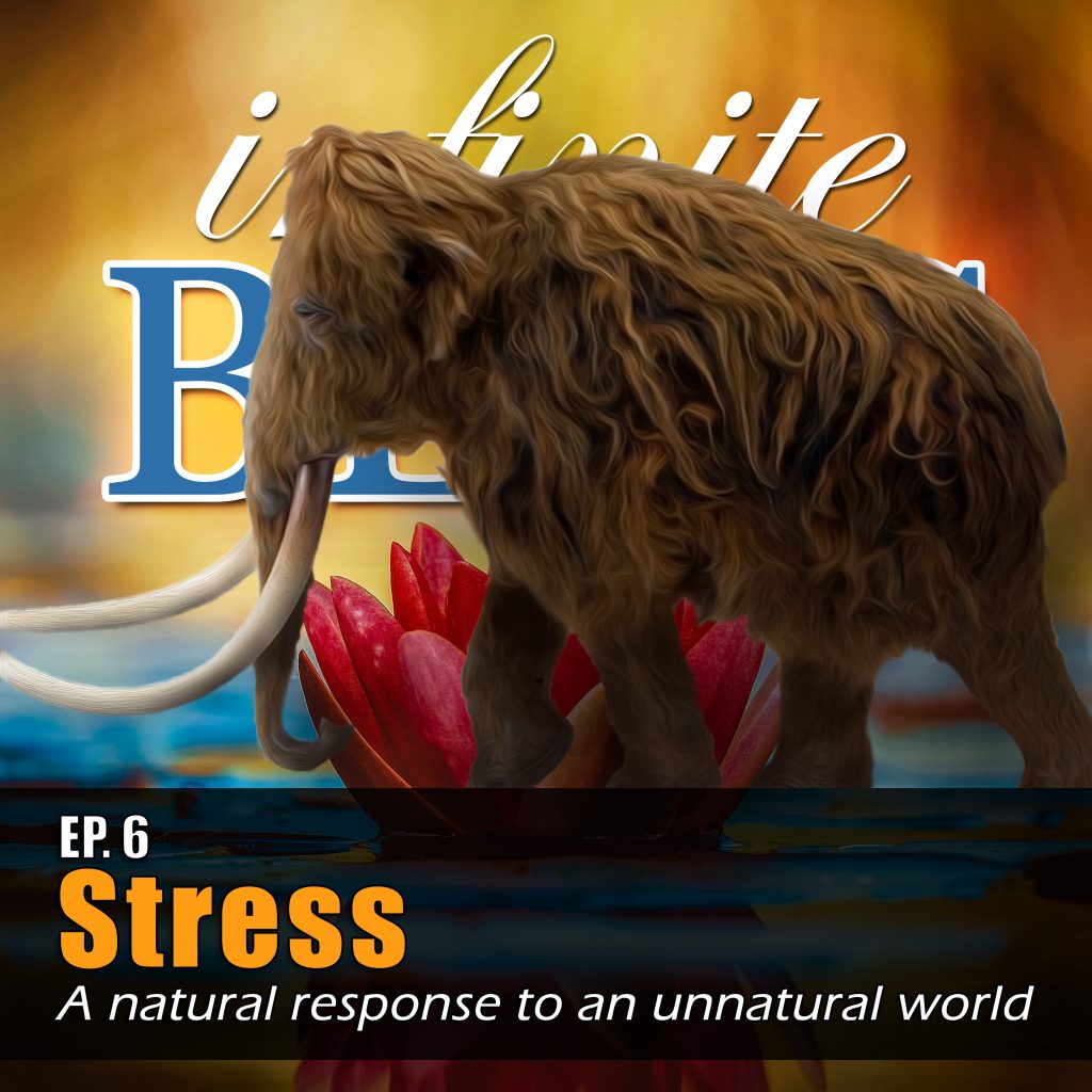 Stress, a natural response to an unnatural world - Ep 6 Infinite Bliss Podcast