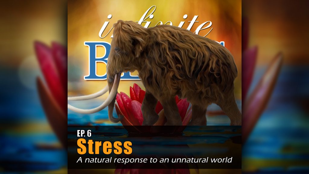 Stress, a natural response to an unnatural world - Ep 6 Infinite Bliss Podcast